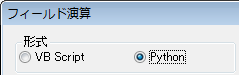 形式に Python を選択