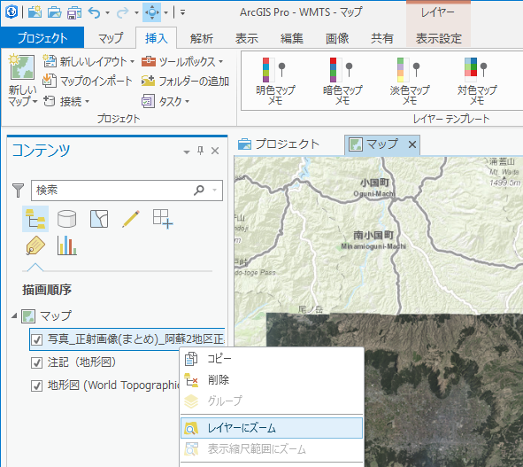 ArcGIS Pro WMTS