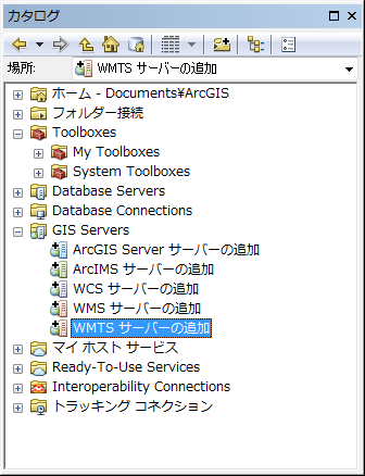 ArcMap WMTS